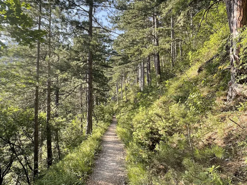 Тропами Крыма: хайкинг для всех (из Алупки) — фото 2, Алупка | Покатаем