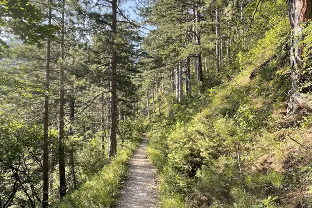 Тропами Крыма: хайкинг для всех (из Алупки) — фото 2