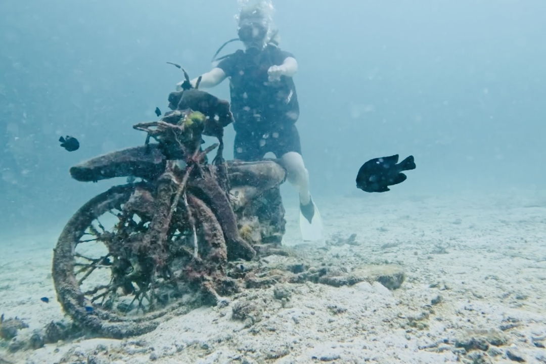 Дайвинг с индивидуальным инструктором. Andaman Diving&Travel Company — фото 6