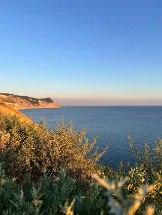 Выйти в открытое море