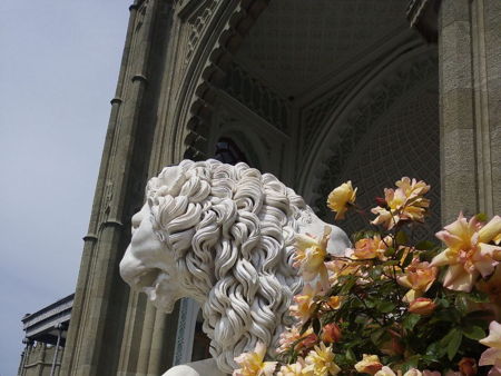 Никитский ботанический сад