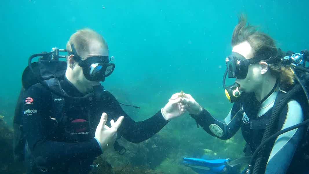 Подводная романтика: свидание с сюрпризом. Ласпи (Крым) - фото 3