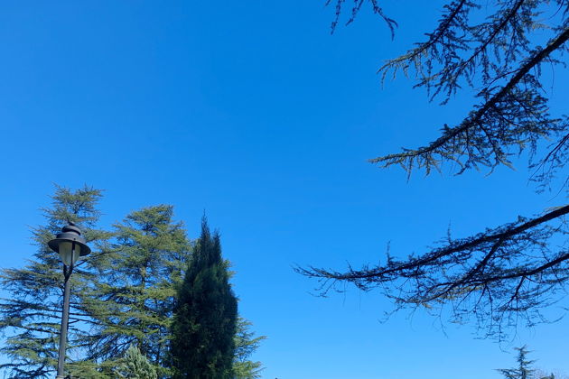 Виды Путешествие на Ингурскую ГЭС и Дворец князей Дадиани