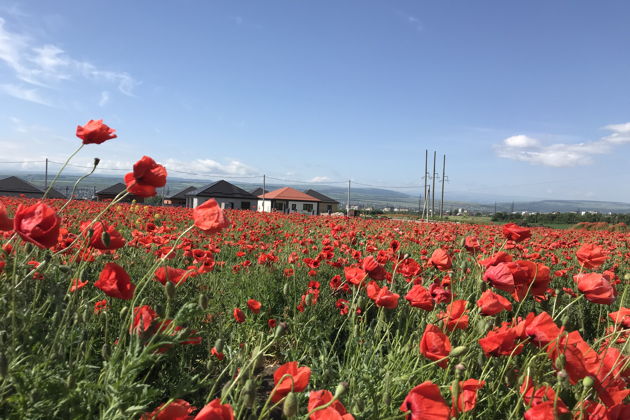 Виды Пятигорск и Железноводск — города, утопающие в лесах