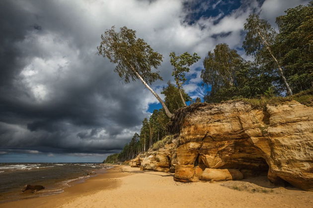 Виды «С корабля на бал»: трансфер-тур из аэропорта на берег Балтийского моря 