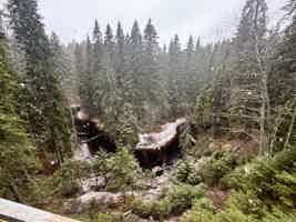 Экскурсия "В Карелию в мини-группе! Рускеальский мрамор и тот самый ретропоезд" - фото отзыва 5