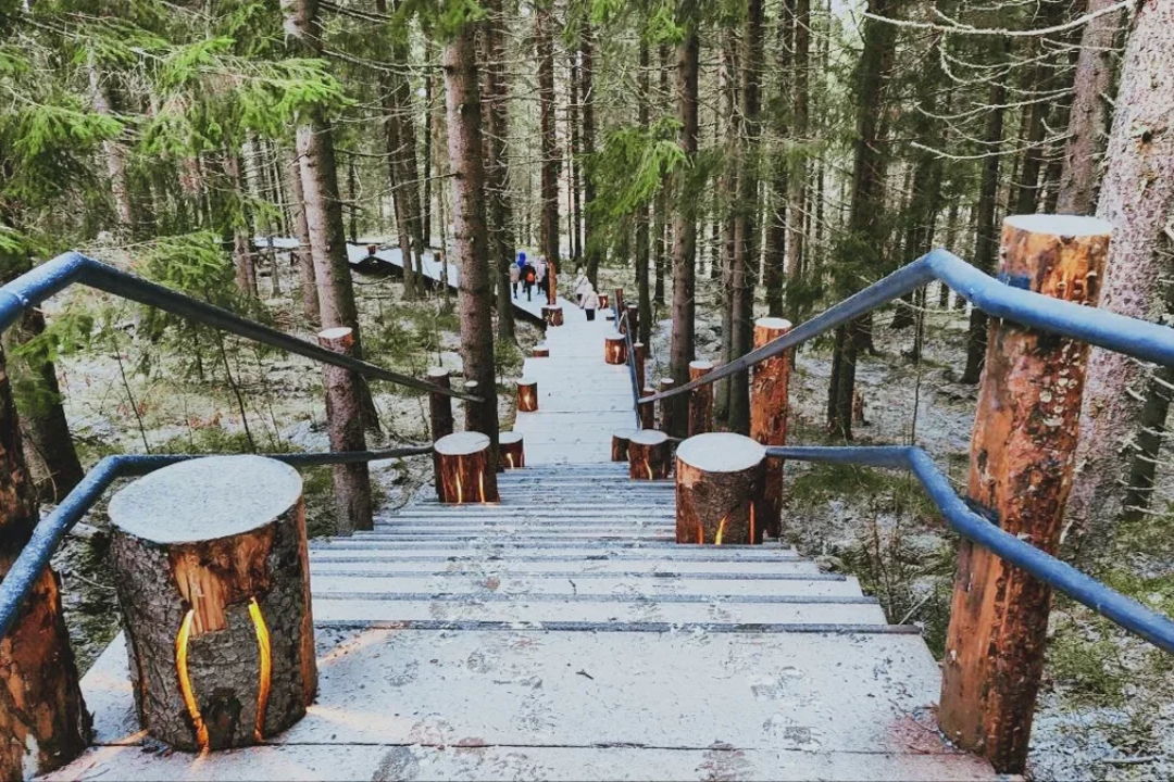 Карельские пейзажи на Ретропоезде 2: Рускеала, водопады — фото 1