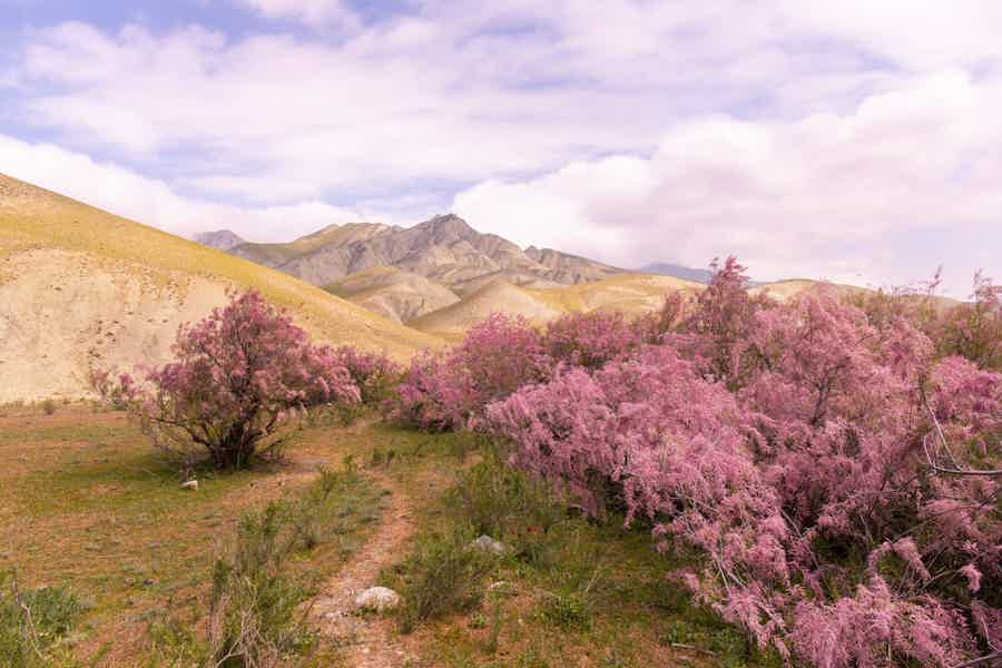 Путешествие в Хызы: Леденцовые горы, Розовое озеро и гора Бешбармаг  - фото 3