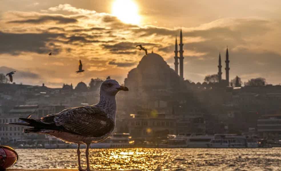 Контрасты Стамбула - фото 2