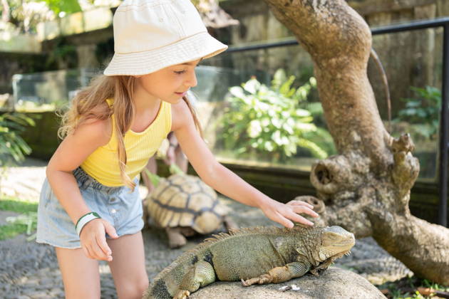 Входной билет в Парк Рептилий «Bali Reptile Park» на 1 день