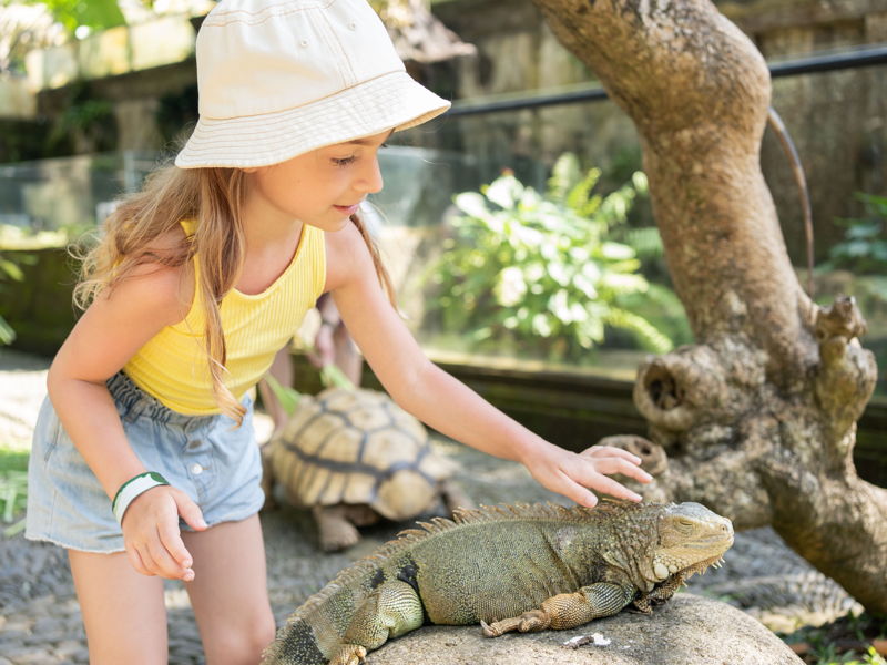 Входной билет в Парк Рептилий «Bali Reptile Park» на 1 день - экскурсия в Бали, Индонезия