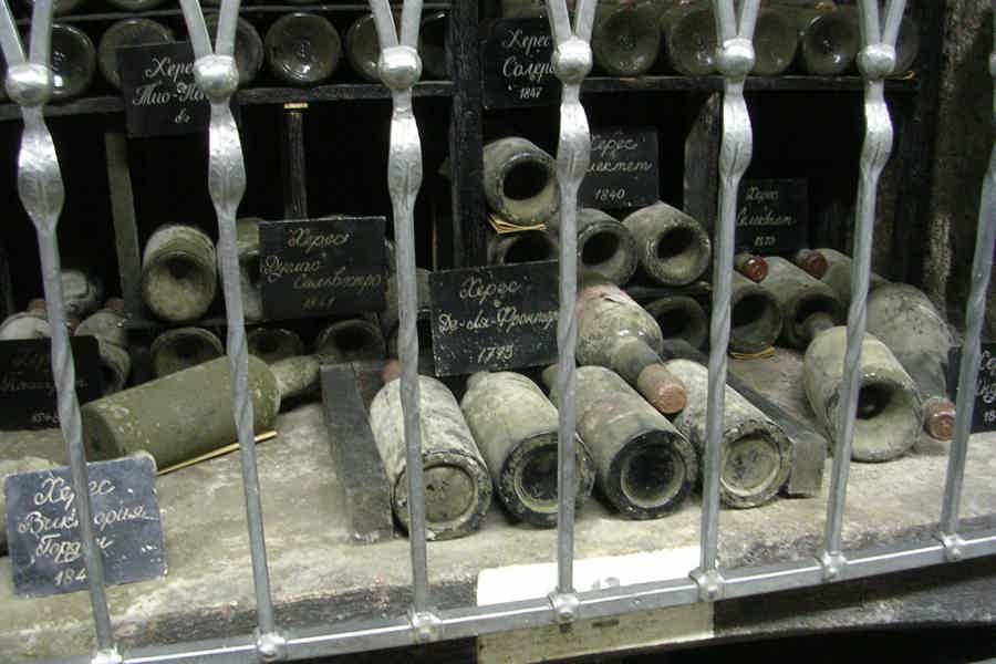Ода виноградной лозе: Массандра и Музей виноделия - фото 2