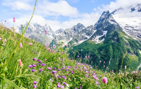 Кавказская Швейцария: Домбай из Ессентуков