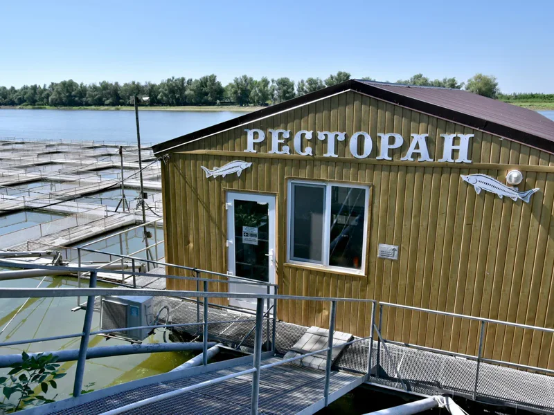 Осетровая ферма — астраханская фишка — фото 2, Астрахань | Покатаем