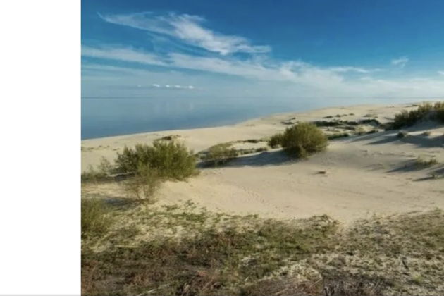 Виды Танцующий лес и поющие пески: на Куршскую косу в мини-группе