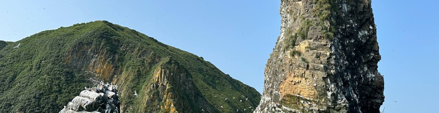 Морская прогулка к острову Старичков: морская рыбалка и крабовое сафари