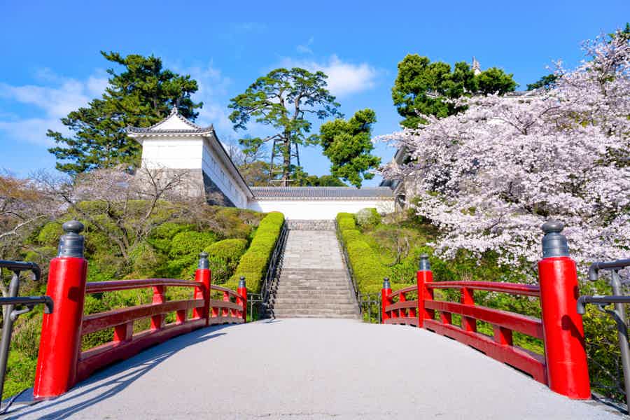 День у подножия Фудзиямы — замок Одавара и природа Хаконе - фото 4