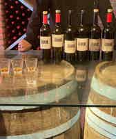 Экскурсия "Велисцихе: история кахетинского виноделия с винным музеем Numisi" - фото отзыва 2