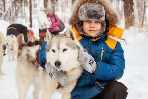 Квест-легенда для детей «Затерянный прииск и снежные псы»