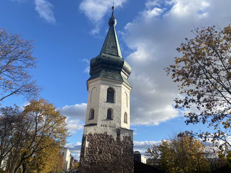 По Выборгу на микроавтобусе - фото 3