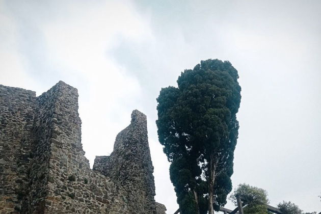 Виды Крепость Петра и Ботанический сад