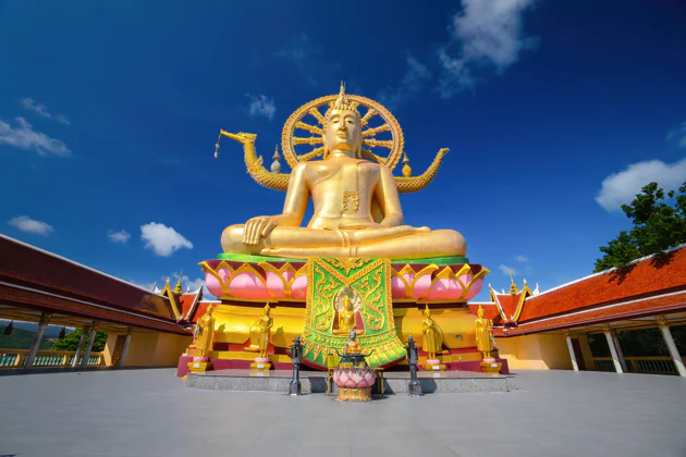 Author's tours of Phuket in the format of a live quest LOST PHUKET — tour in Phuket | Pokataem