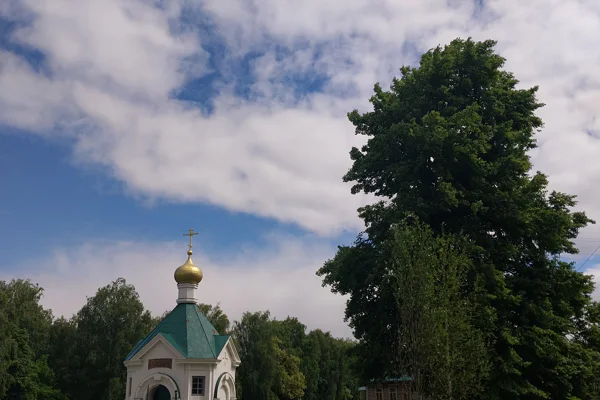 «Гой ты, Русь моя родная…» — поездка в Константиново (на вашем авто) — фото 3, Рязань | Покатаем