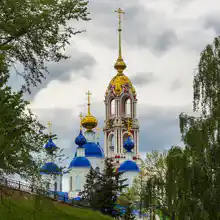 ВИТЕСС
