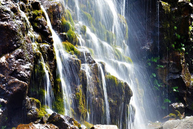 Виды Экскурсия в каньон Дашбаши