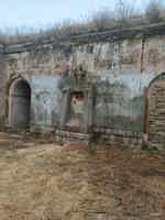 Экскурсия "Тайны острова Русский и Приморский океанариум" - фото отзыва 1