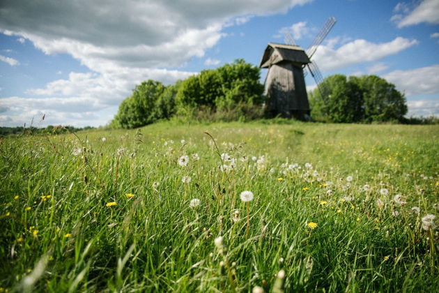 Фото к экскурсии Пушкинские горы за 2 дня, экскурсия для школьных групп