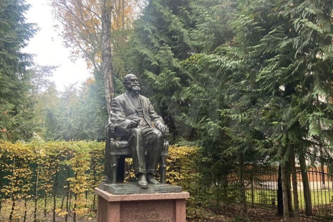 «Янтарное ожерелье»: Балтийск, Янтарный и Светлогорск в мини - группе. — фото 8