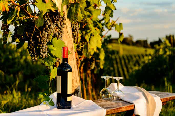 Enjoy the Traditional Chianti Wine and Food on a Half-Day Tour