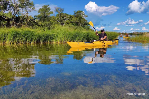 1-Day Small-Group Stockholm Archipelago Kayak Tour
