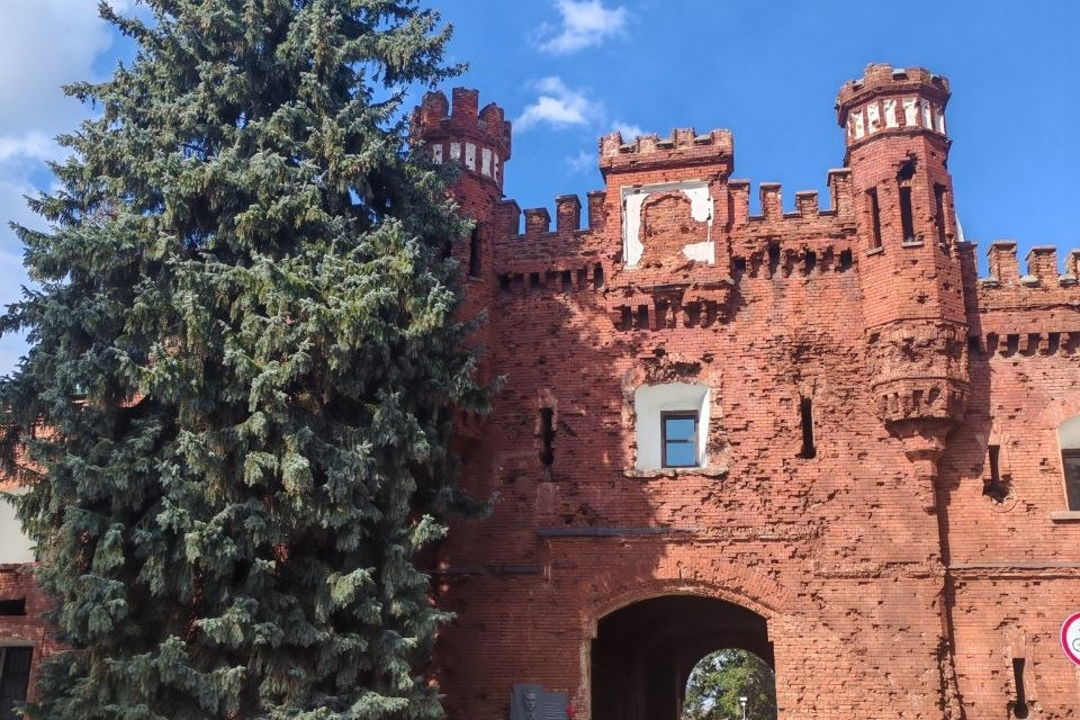 Групповая экскурсия в Брестскую крепость (территория + музей) — фото 7