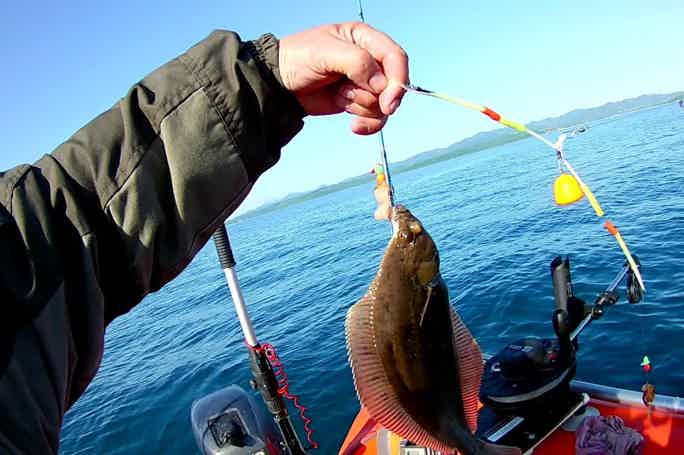 Черноморская рыбалка