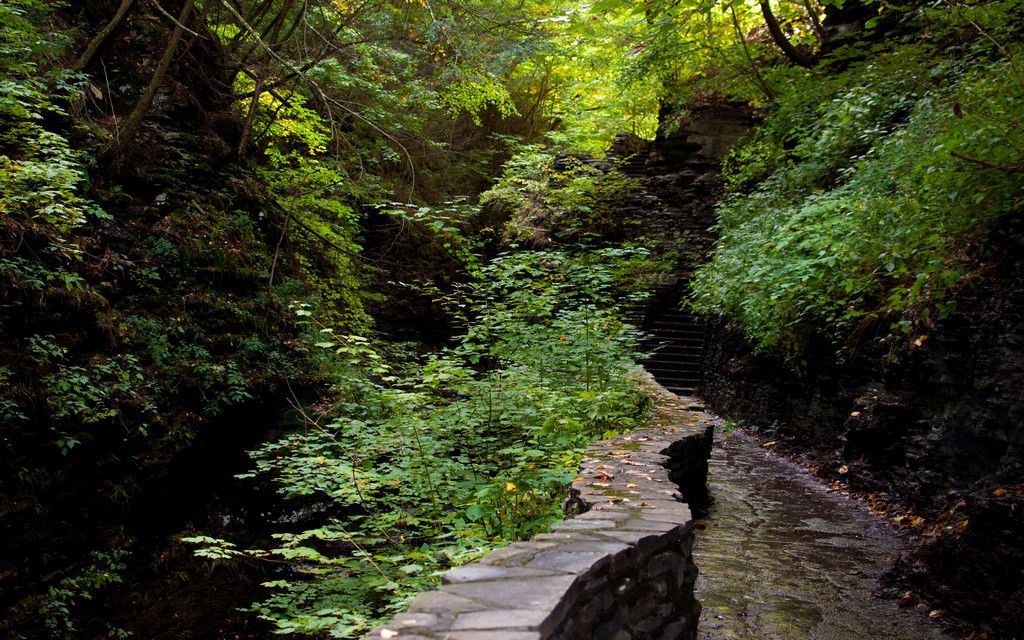 Самурский лес