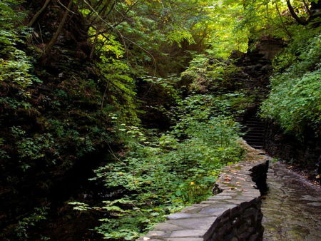 Самурский лес