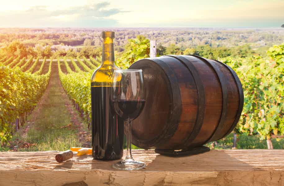 Adventure in Florence: taste the Chianti Wine in our Tasting day trip - photo 6