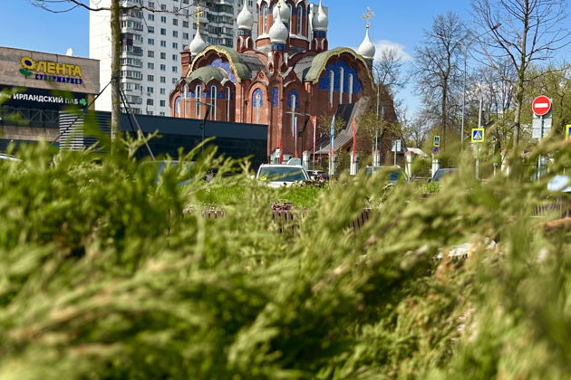 Фото к экскурсии Сокольники сквозь века