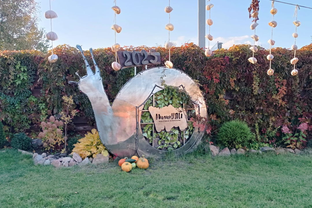 Ферма улиток ПилипУЛИ — фото 7