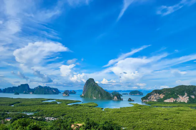 Весь Пхукет за 1 день: обезьяны, слоны, тигры и крокодилы — фото 2