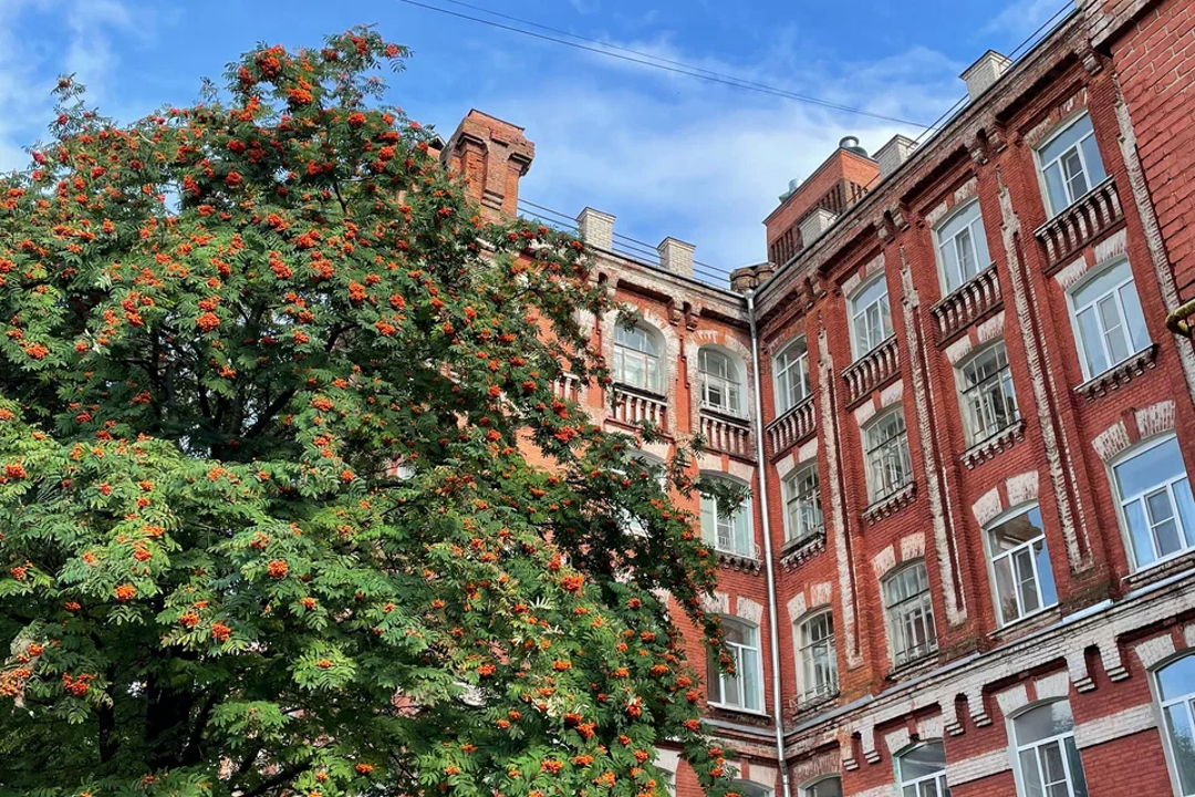 Морозовский городок — путешествие от триумфа к забвению — фото 2