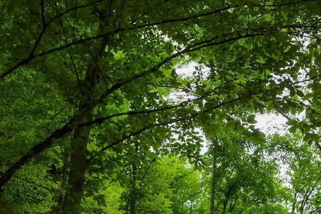 Виды Скрытые сокровища Южного Дагестана: водопады Келе и каньон Мерки