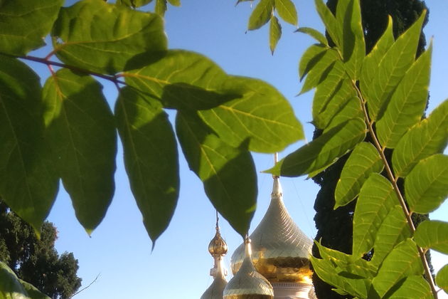 Главное изображение экскурсии - Ялта в сиянии Серебряного века