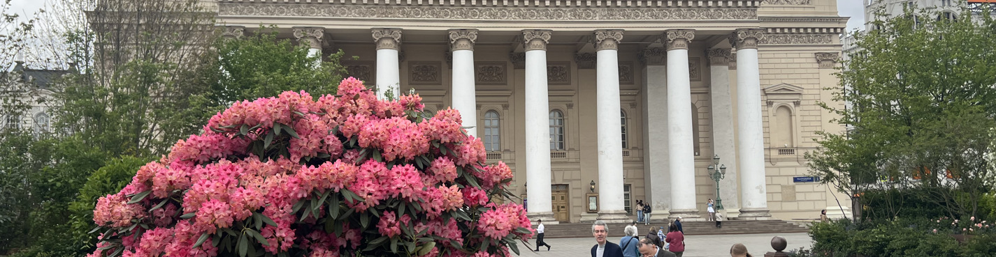 Москва, я люблю тебя: романтическая квест-прогулка по Новогодней Москве