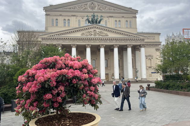 Москва, я люблю тебя: романтическая квест-прогулка по Новогодней Москве