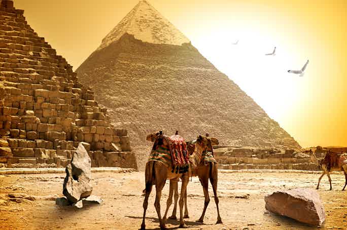 Поездка в Каир. Великие пирамиды.Сфинкс. Каирский музей 