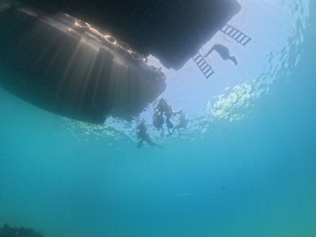 Остров Ласточек