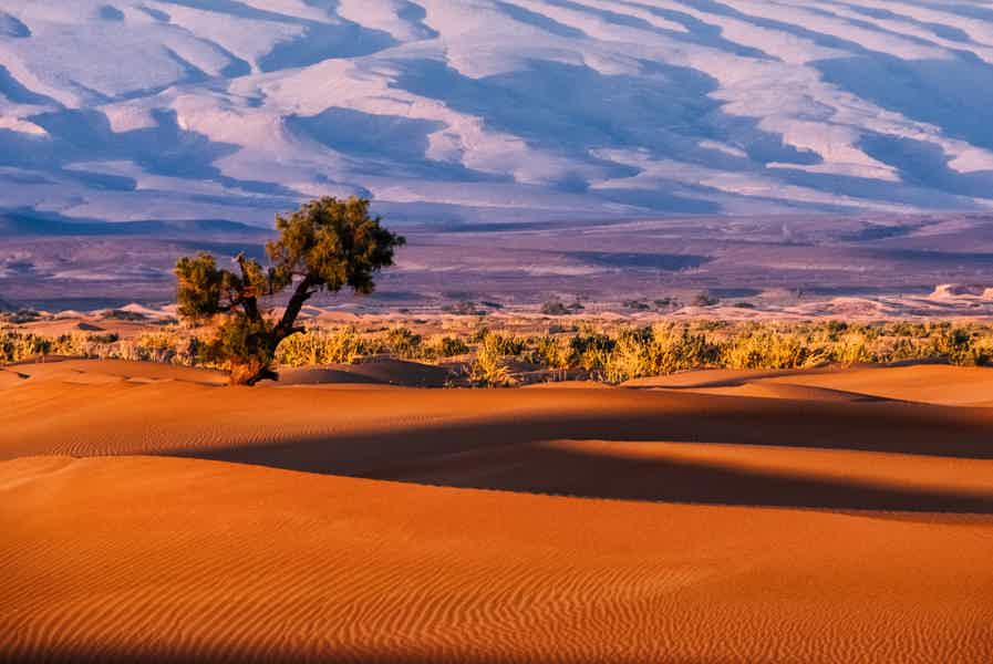  Agafay Desert Sunset Camel Ride w/ Hotel Pickup & Drop-off - photo 5